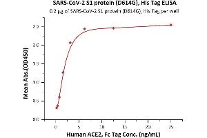 ELISA image for SARS-CoV-2 Spike S1 (D614G) protein (His tag) (ABIN6953175)
