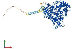 AlphaFold protein structure predicition of Mouse Recombinant Cyp2u1 Protein, UniprotID Q9CX98