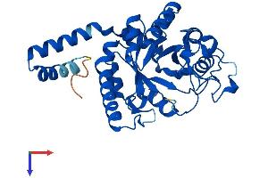 GDE1 Protein (AA 1-331) (His tag)