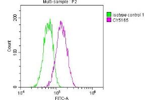 Flow Cytometry (FACS) image for anti-Signal Transducer and Activator of Transcription 3 (Acute-Phase Response Factor) (STAT3) antibody (ABIN7127825)