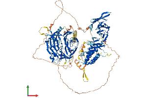 AlphaFold protein structure predicition of Human Recombinant HIRA Protein, UniprotID P54198