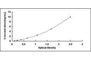 Programmed Cell Death 5 (PDCD5) ELISA Kit