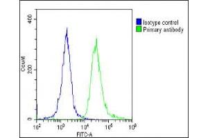 Overlay histogram showing HeLa cells stained with (ABIN6244022 and ABIN6578804)(green line). (TOMM40 抗体  (AA 22-56))