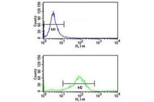 RAB7 antibody flow cytometry analysis of K562 cells (bottom histogram) compared to a negative control (top histogram). (RAB7A 抗体  (AA 176-204))