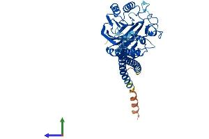 Protein Structure (PS) image for Sphingomyelin phosphodiesterase 2, Neutral Membrane (Neutral Sphingomyelinase) (SMPD2) (AA 1-419) protein (His tag) (ABIN7562574)