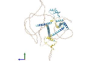 Protein Structure (PS) image for CLK4-Associating Serine/arginine Rich Protein (CLASRP) (AA 1-674) protein (His tag) (ABIN7546527)