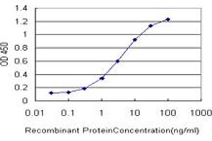 Detection limit for recombinant GST tagged GRK4 is approximately 0. (GRK4 抗体  (AA 36-145))