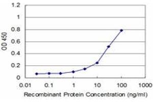 Detection limit for recombinant GST tagged SET is approximately 3ng/ml as a capture antibody. (SET/TAF-I 抗体  (AA 1-277))