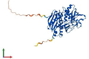 Protein Structure (PS) image for Dom-3 Homolog Z (DOM3Z) (AA 1-397) protein (His tag) (ABIN7562540)