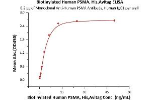 Immobilized Monoclonal A PSMA Antibody, Human IgG1 at 2 μg/mL (100 μL/well) can bind Biotinylated Human PSMA, His,Avitag (ABIN6731327,ABIN6809853) with a linear range of 0. (PSMA Protein (AA 44-750) (His tag,AVI tag,Biotin))