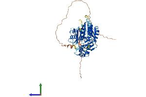 Protein Structure (PS) image for tRNA Methyltransferase 5 (TRMT5) (AA 1-509) protein (His tag) (ABIN7544726)
