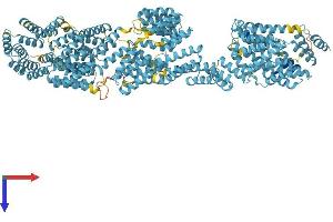 AlphaFold protein structure predicition of Human Recombinant TTC21A Protein, UniprotID Q8NDW8