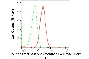 Flow cytometric analysis of Solute carrier family 25 member 12 expression in C2C12 cells using Solute carrier family 25 member 12 antibody (ABIN7800390), 1:2,000).