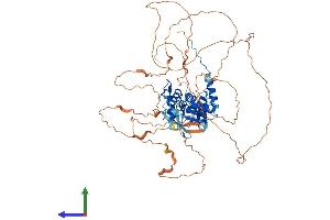Protein Structure (PS) image for Zinc Finger and BTB Domain Containing 33 (ZBTB33) (AA 1-671) protein (His tag) (ABIN7564404)