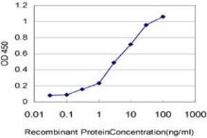 Detection limit for recombinant GST tagged PCDHGA8 is approximately 0. (PCDHGA8 抗体  (AA 357-444))