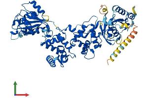 Protein Structure (PS) image for Ras Homolog Gene Family, Member T2 (RHOT2) (AA 1-618) protein (His tag) (ABIN7549448)