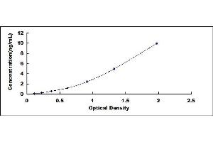 Typical standard curve (SULT1A1 ELISA 试剂盒)