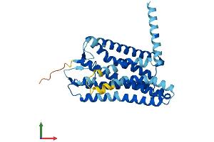 Protein Structure (PS) image for Olfactory Receptor, Family 7, Subfamily C, Member 2 (OR7C2) (AA 1-319) protein (His tag) (ABIN7550316)