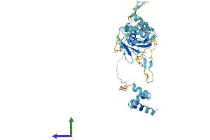 AlphaFold protein structure predicition of Mouse Recombinant Nsfl1c Protein, UniprotID Q9CZ44