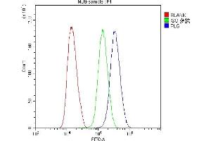 Flow Cytometry analysis of U251 cells using anti-Plasminogen antibody (ABIN6719276). (PLG 抗体)