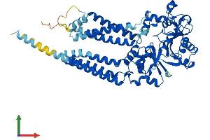 Protein Structure (PS) image for glycerophosphodiester phosphodiesterase Domain Containing 2 (GDPD2) (AA 1-539) protein (His tag) (ABIN7553995)