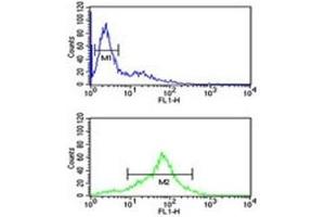 Flow Cytometry (FACS) image for anti-Superoxide Dismutase 1, Soluble (SOD1) (AA 55-84) antibody (ABIN3032771)