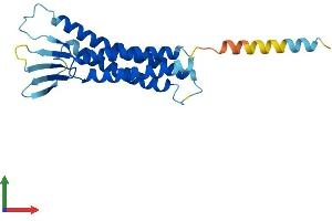 Protein Structure (PS) image for Claudin 22 (CLDN22) (AA 1-220) protein (His tag) (ABIN7546612)