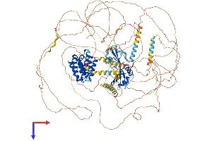 AlphaFold protein structure predicition of Mouse Recombinant Scaf8 Protein, UniprotID Q6DID3