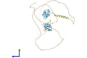 Protein Structure (PS) image for serine/arginine-Rich Splicing Factor 4 (SRSF4) (AA 1-489) protein (His tag) (ABIN7559896)