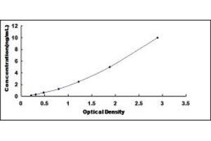 Typical standard curve (HSF1 ELISA 试剂盒)