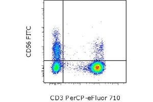 Flow Cytometry (FACS) image for anti-Neural Cell Adhesion Molecule 1 (NCAM1) antibody (FITC) (ABIN2144645) (CD56 抗体  (FITC))