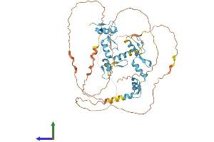 Protein Structure (PS) image for Pleiomorphic Adenoma Gene-Like 1 (PLAGL1) (AA 1-463) protein (His tag) (ABIN7550853)