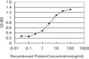 Detection limit for recombinant GST tagged FOXA1 is approximately 0. (FOXA1 抗体  (AA 367-472))