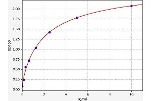 Typical standard curve (TNMD ELISA 试剂盒)