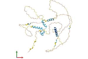 Protein Structure (PS) image for Family with Sequence Similarity 110, Member C (FAM110C) (AA 1-421) protein (His tag) (ABIN7559895)