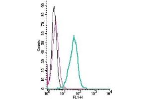 Cell surface detection of CLEC7A/Dectin-1 by indirect flow cytometry in live intact mouse J774 macrophage cells: + goat-anti-rabbit-FITC.