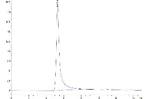 Size-exclusion chromatography-High Pressure Liquid Chromatography (SEC-HPLC) image for G Protein-Coupled Receptor, Family C, Group 5, Member D (GPRC5D) (AA 1-345) (Active) protein-VLP (ABIN7448169)