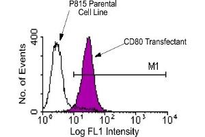 Flow Cytometry (FACS) image for anti-CD80 (CD80) antibody (FITC) (ABIN371005) (CD80 抗体  (FITC))