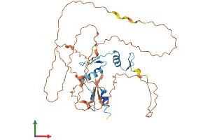 Protein Structure (PS) image for Kruppel-Like Factor 8 (KLF8) (AA 1-355) protein (His tag) (ABIN7558743)