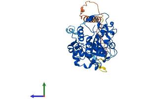 Protein Structure (PS) image for ST6 (Alpha-N-Acetyl-Neuraminyl-2,3-beta-Galactosyl-1,3)-N-Acetylgalactosaminide alpha-2,6-Sialyltransferase 2 (ST6GALNAC2) (AA 1-374) protein (His tag) (ABIN7546094)