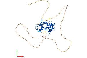 Protein Structure (PS) image for Ring Finger Protein 146 (RNF146) (AA 1-359) protein (His tag) (ABIN7564967)