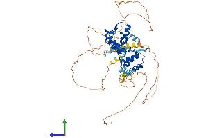Protein Structure (PS) image for Nucleus Accumbens Associated 1, BEN and BTB (POZ) Domain Containing (NACC1) (AA 1-527) protein (His tag) (ABIN7549642)