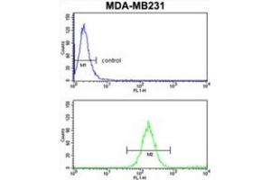 Flow Cytometry (FACS) image for anti-Superkiller Viralicidic Activity 2-Like 2 (SKIV2L2) antibody (ABIN3003891) (MTR4 抗体)