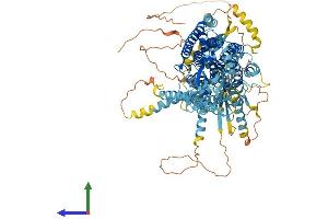 Protein Structure (PS) image for Anoctamin 2 (ANO2) (AA 1-1003) protein (His tag) (ABIN7552281)