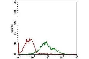 Flow cytometric analysis of MCF-7 cells using DDIT3 mouse mAb (green) and negative control (red). (DDIT3 抗体  (AA 87-192))
