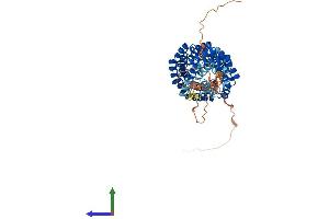 Protein Structure (PS) image for Bardet-Biedl Syndrome 4 (BBS4) (AA 1-520) protein (His tag) (ABIN7564501)