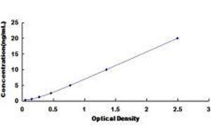 ELISA image for Tumor Protein, Translationally-Controlled 1 (TPT1) ELISA Kit (ABIN429932)