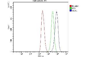 Flow Cytometry analysis of THP-1 cells using anti-GLUL antibody (ABIN7602403).