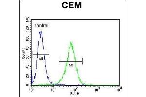 NXPH4 Antibody (C-term) (ABIN655131 and ABIN2844758) flow cytometric analysis of CEM cells (right histogram) compared to a negative control cell (left histogram). (Neurexophilin 4 抗体  (C-Term))