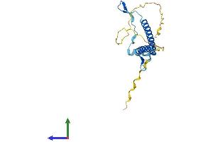 AlphaFold protein structure predicition of Mouse Recombinant Figla Protein, UniprotID O55208